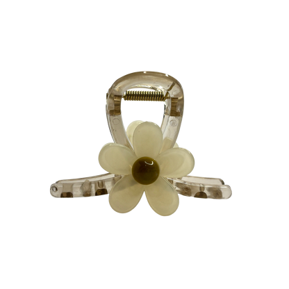 Creamy Daisy